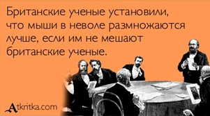 Mыши Cамозарождаются